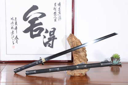 Black Ray Skin Silver Inlaid Plain Iron Cloud Fittings Sword