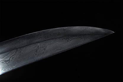 Black Genuine Ray Skin Antique Relief Copper Fittings Full Tang Collectible Sword